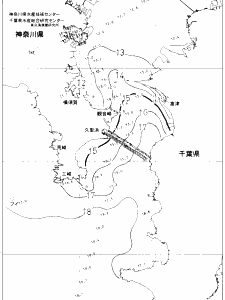 東京湾口海況図(2020/01/10)