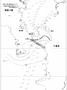 東京湾口海況図(2020/01/11)