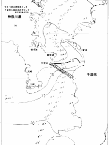 東京湾口海況図(2020/01/13)