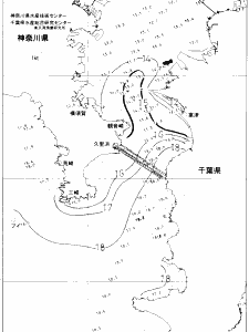 東京湾口海況図(2020/01/15)
