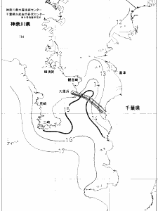 東京湾口海況図(2020/01/19)