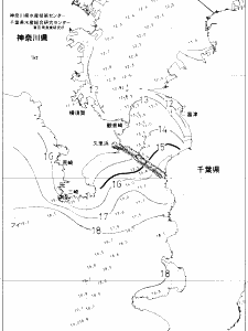東京湾口海況図(2020/01/21)