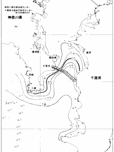 東京湾口海況図(2020/01/22)