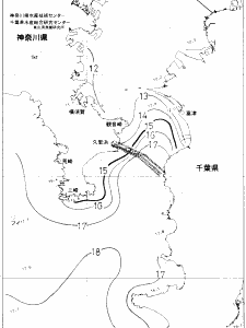 東京湾口海況図(2020/01/23)