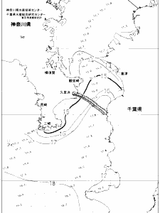 東京湾口海況図(2020/01/24)