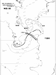 東京湾口海況図(2020/01/25)