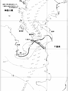 東京湾口海況図(2020/01/26)