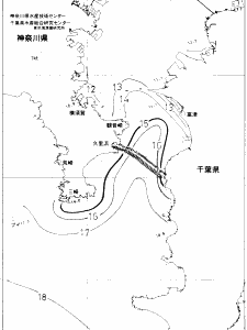 東京湾口海況図(2020/01/28)