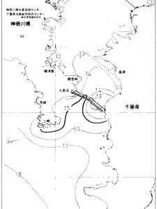 東京湾口海況図(2020/01/29)