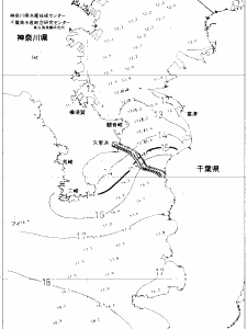 東京湾口海況図(2020/01/31)