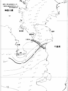 東京湾口海況図(2020/02/04)