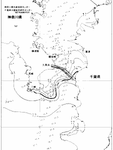 東京湾口海況図(2020/02/05)