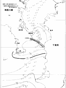 東京湾口海況図(2020/02/08)