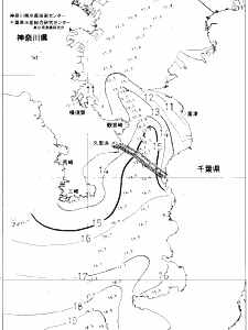 東京湾口海況図(2020/02/09)