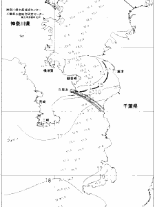 東京湾口海況図(2020/02/15)