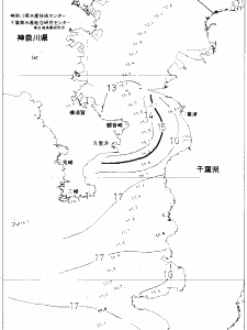 東京湾口海況図(2020/02/17)