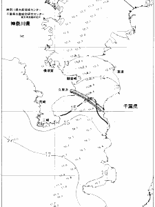 東京湾口海況図(2020/02/20)