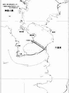 東京湾口海況図(2020/02/25)