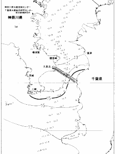 東京湾口海況図(2020/03/01)