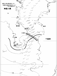 東京湾口海況図(2020/03/02)