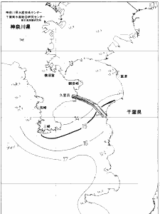 東京湾口海況図(2020/03/04)