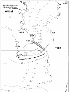 東京湾口海況図(2020/03/05)