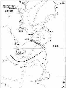 東京湾口海況図(2020/03/06)