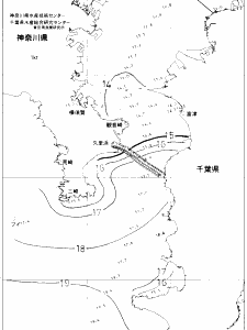 東京湾口海況図(2020/03/11)