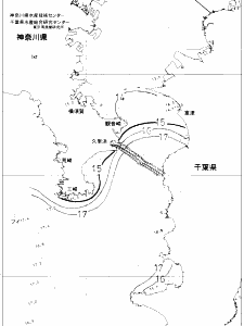 東京湾口海況図(2020/03/12)