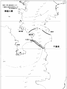 東京湾口海況図(2020/03/29)