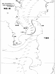 東京湾口海況図(2020/04/12)