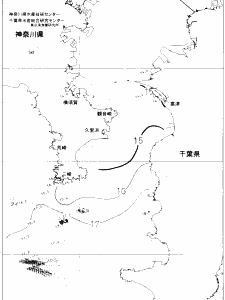 東京湾口海況図(2020/04/21)