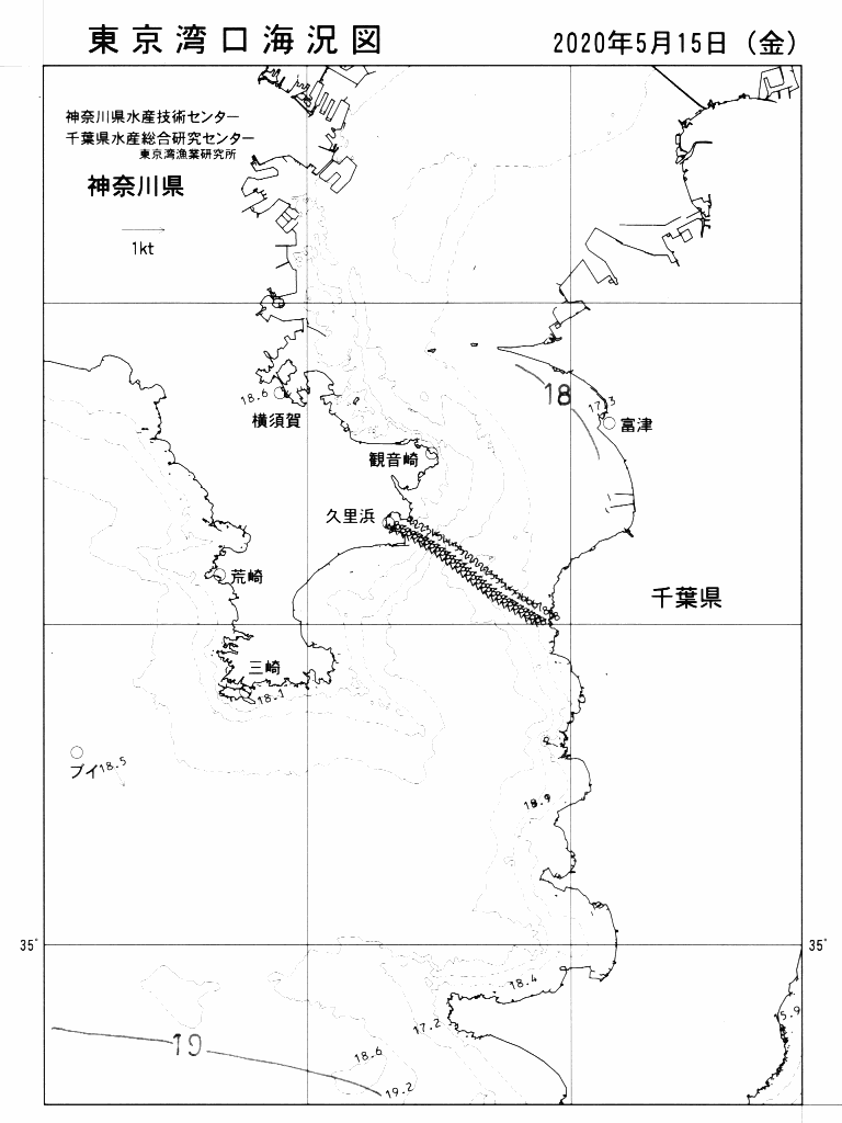 海況図, 東京湾口海況図 検索結果, (水温分布 等を図示)