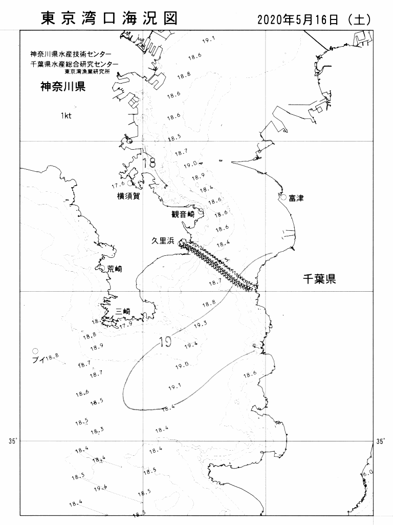 海況図, 東京湾口海況図 検索結果, (水温分布 等を図示)