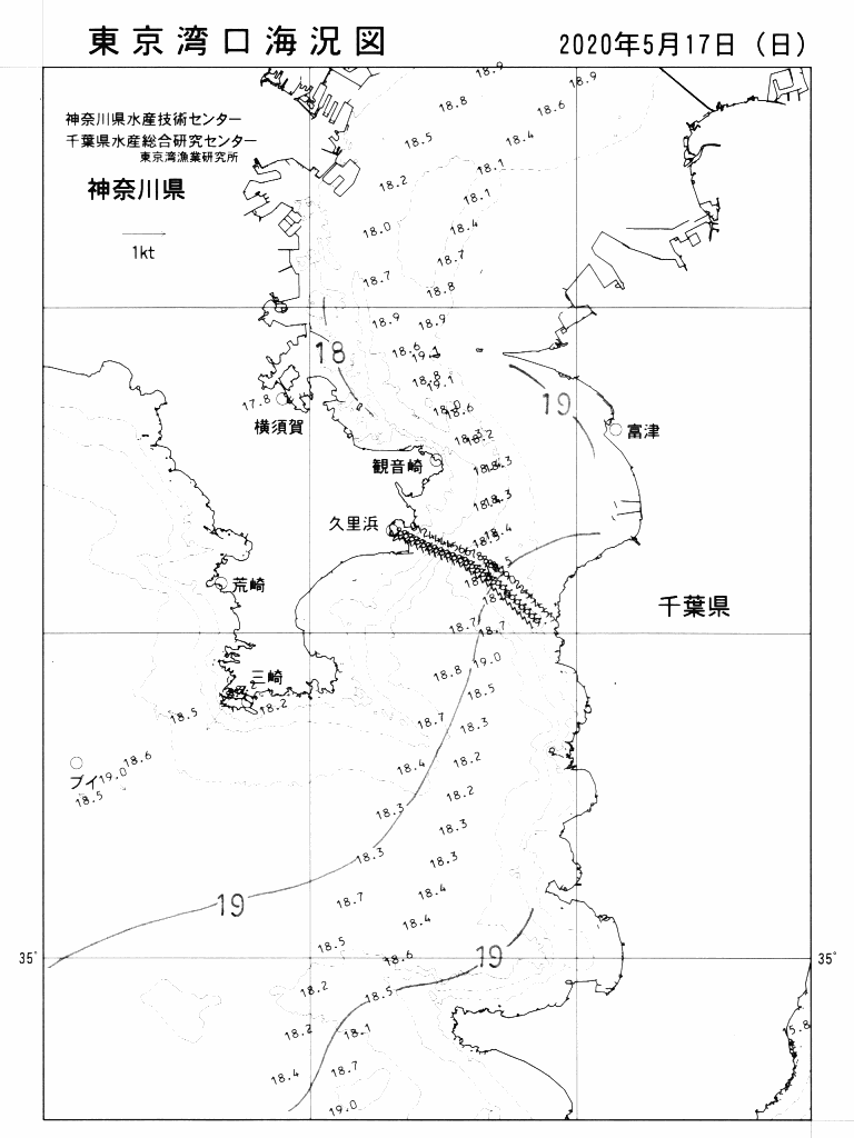海況図, 東京湾口海況図 検索結果, (水温分布 等を図示)