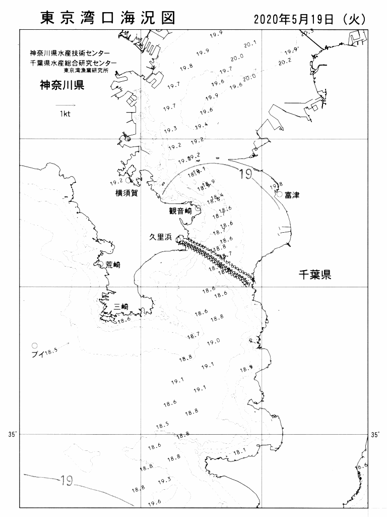海況図, 東京湾口海況図 検索結果, (水温分布 等を図示)