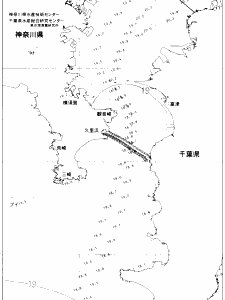 東京湾口海況図(2020/05/19)