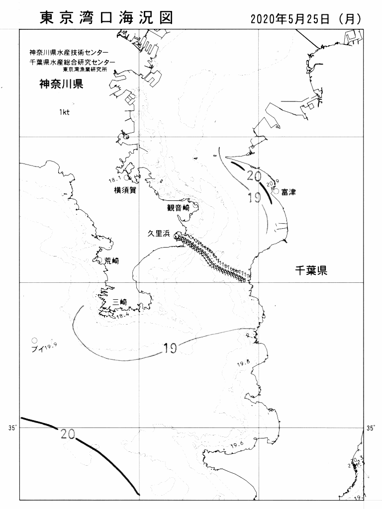海況図, 東京湾口海況図 検索結果, (水温分布 等を図示)