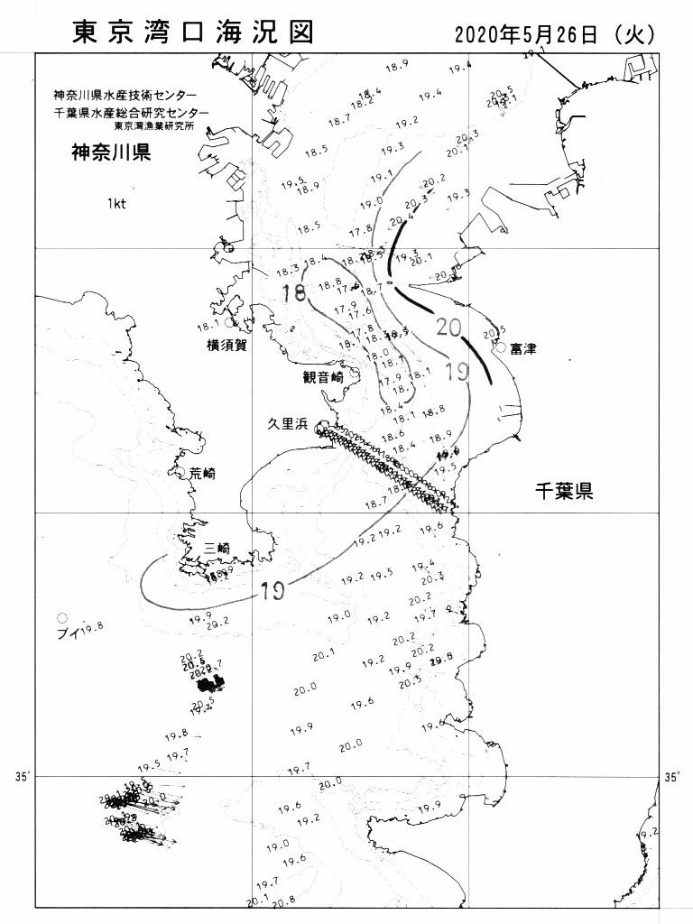 海況図, 東京湾口海況図 検索結果, (水温分布 等を図示)