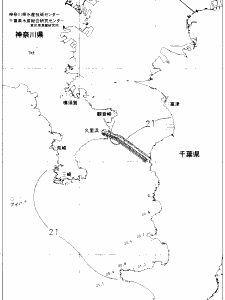 東京湾口海況図(2020/06/08)