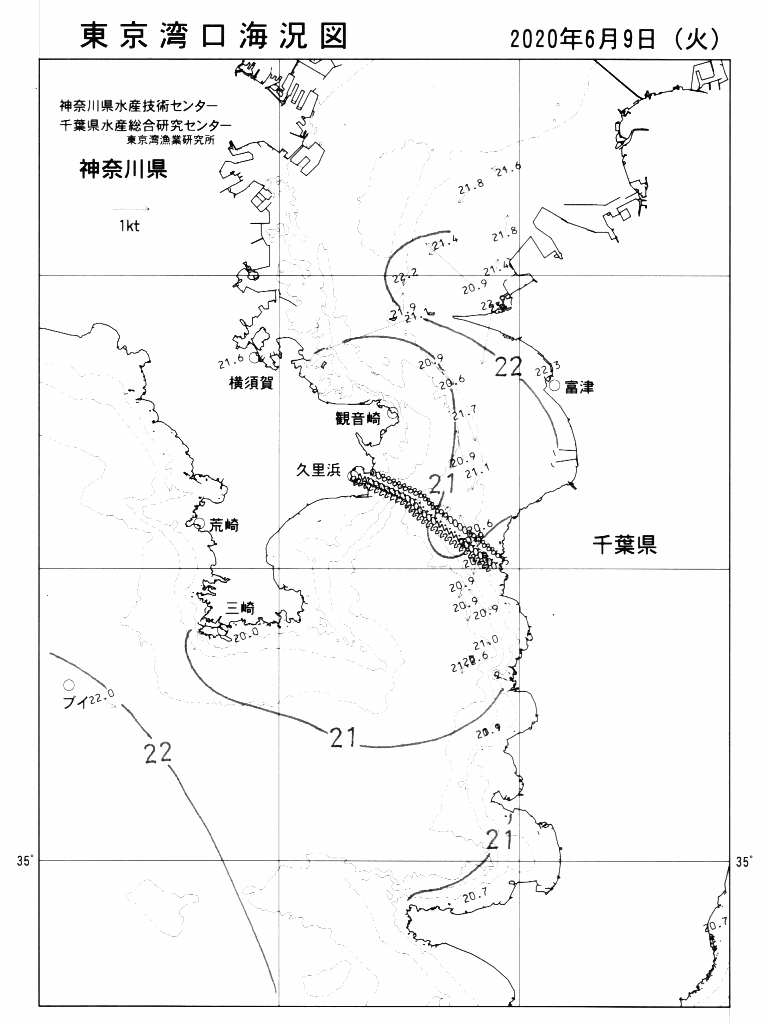 海況図, 東京湾口海況図 検索結果, (水温分布 等を図示)