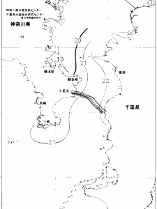 東京湾口海況図(2020/06/11)