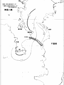 東京湾口海況図(2020/06/12)