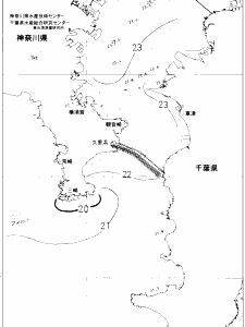 東京湾口海況図(2020/06/15)