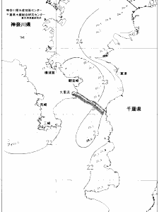 東京湾口海況図(2020/06/16)