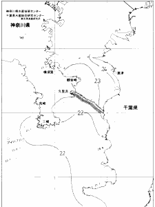東京湾口海況図(2020/06/18)
