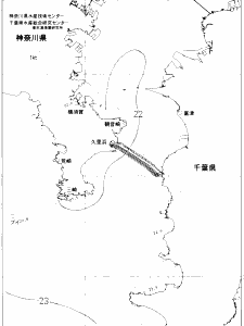 東京湾口海況図(2020/06/28)