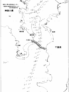東京湾口海況図(2020/06/29)