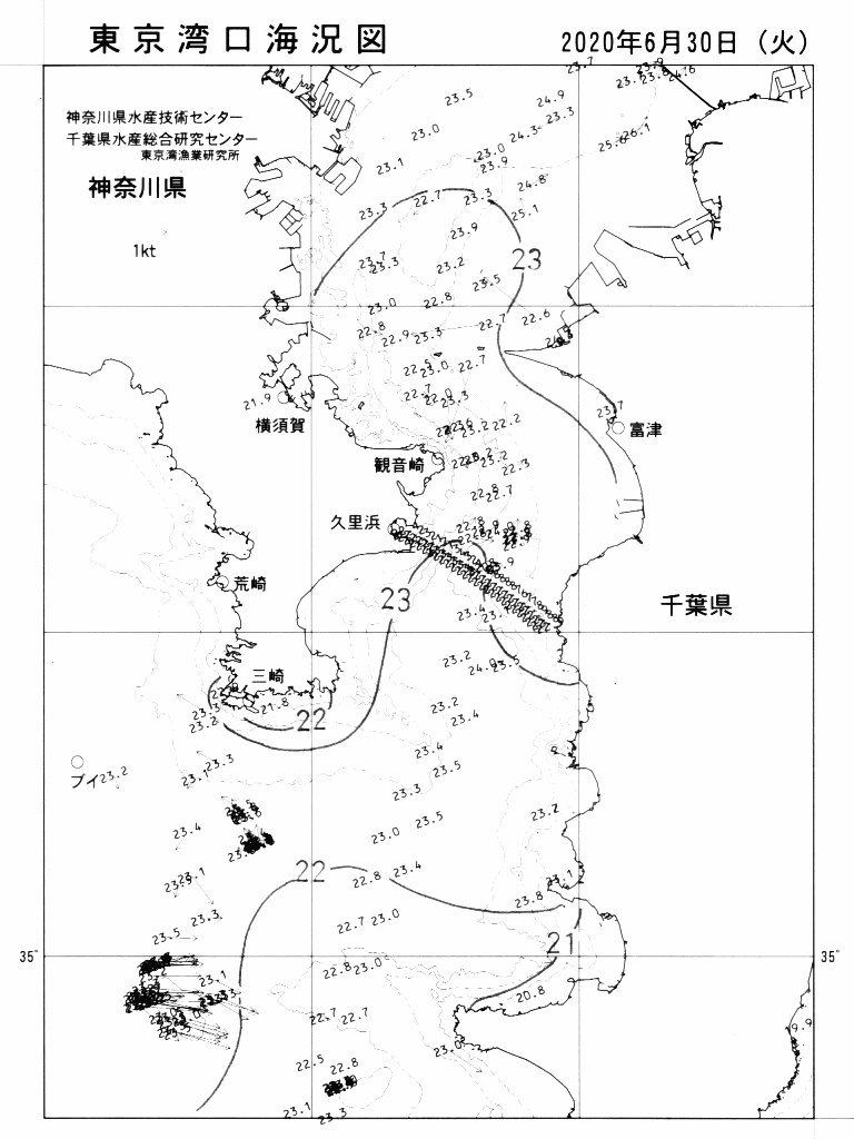 海況図, 東京湾口海況図 検索結果, (水温分布 等を図示)