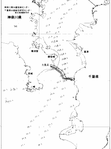 東京湾口海況図(2020/07/03)